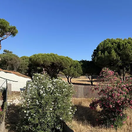 Vivenda Alfamar 2120 - 180m Da * Αλμπουφέιρα